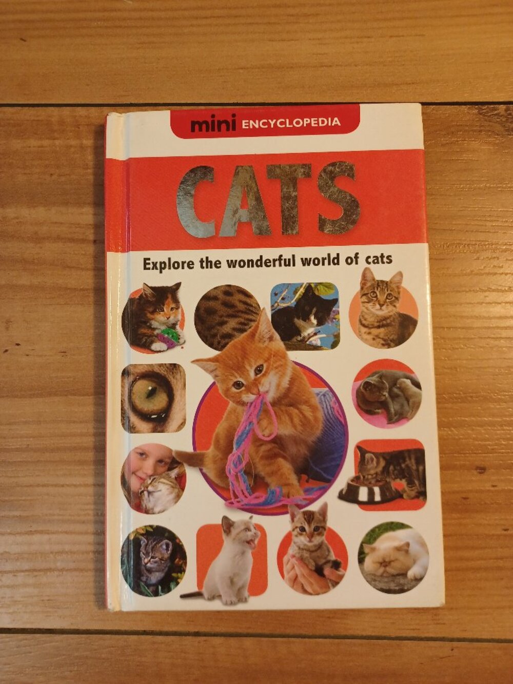 Cats By Sarah Creese Book